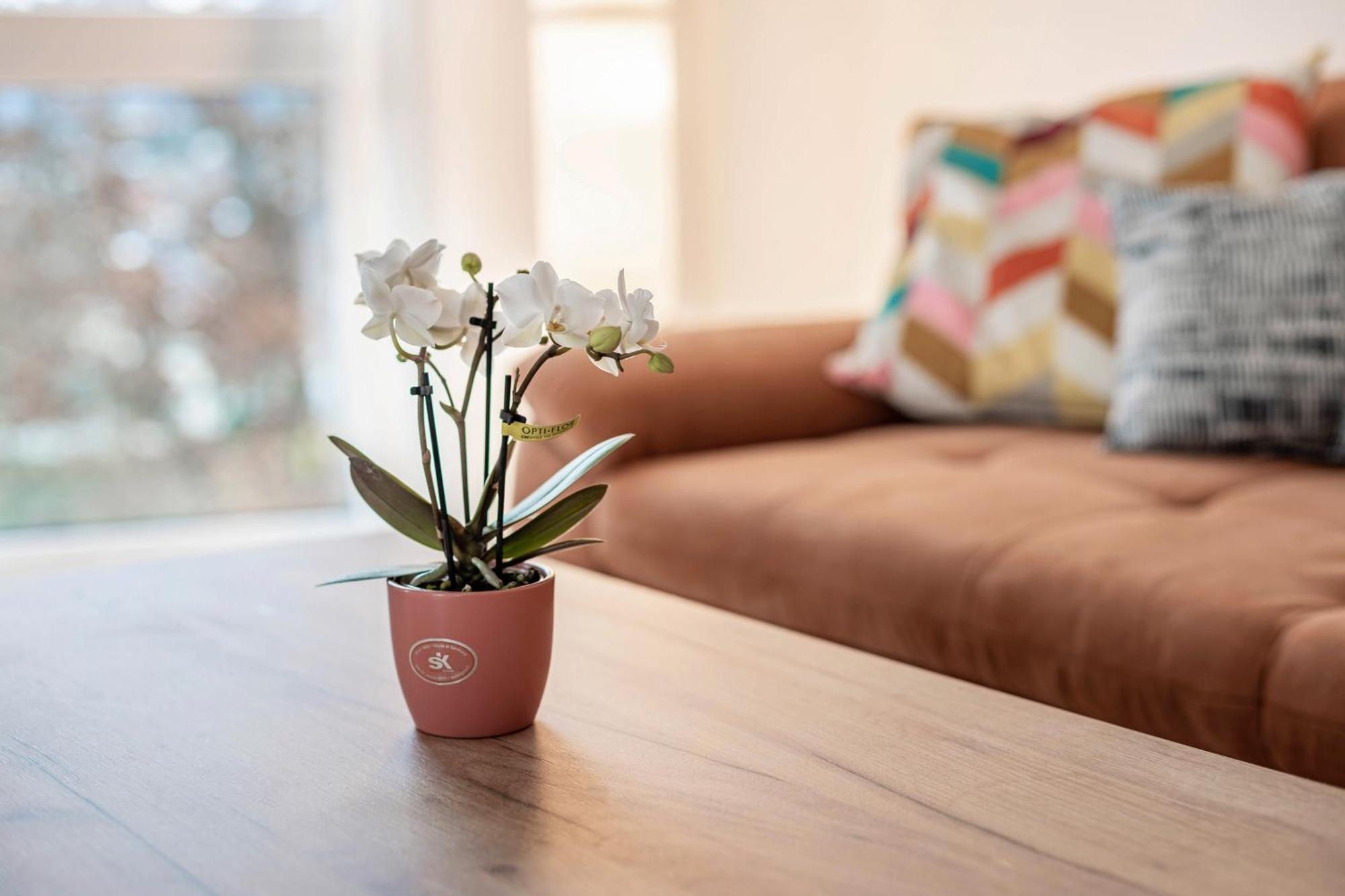 Felsenkeller Appartements 발드키르히 외부 사진